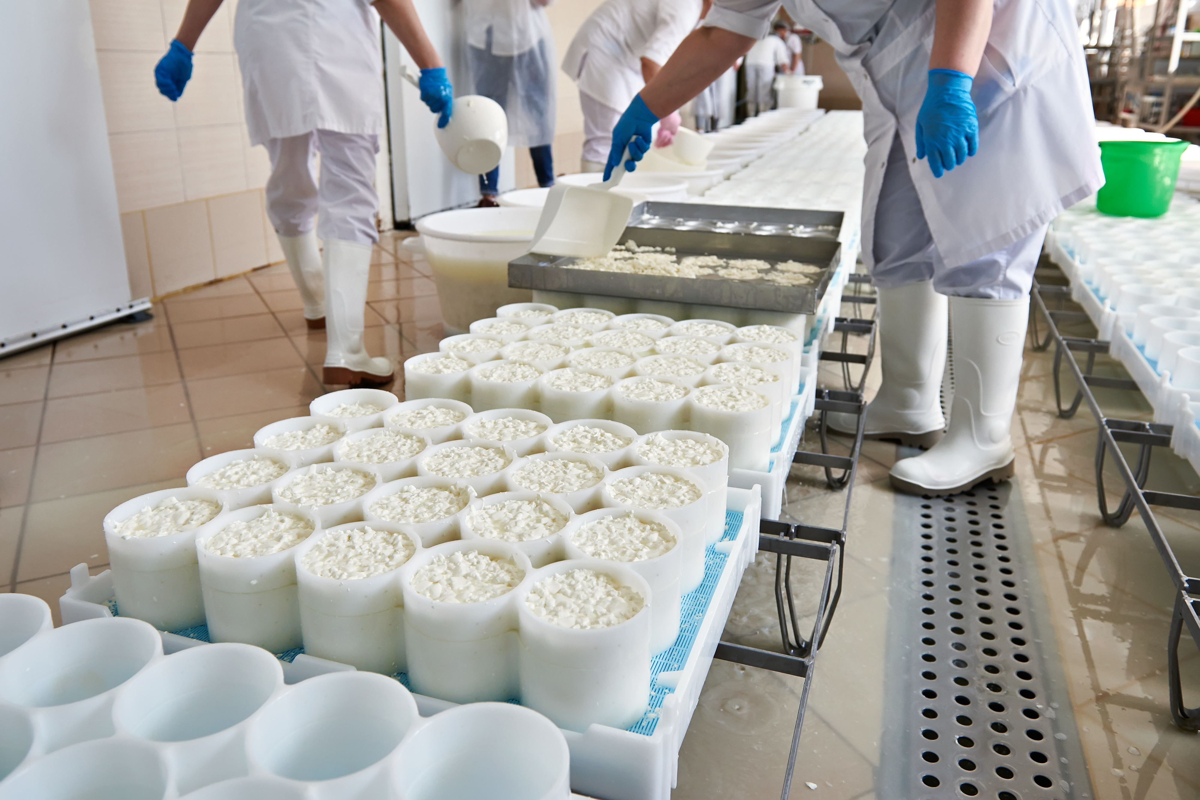 Filling molds for the production of soft cheese